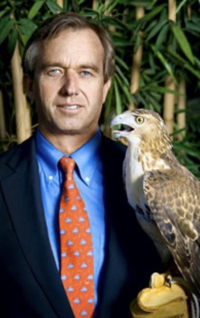 SariWester's tweet photo. @Carrots17plus I don't follow anything about Q, so I have no idea what they think.
But RFK himself shows who he is.
#StoneWall
#FalconClub
#PointedFinger
#TraidClaw https://t.co/BBQh16Kfgk