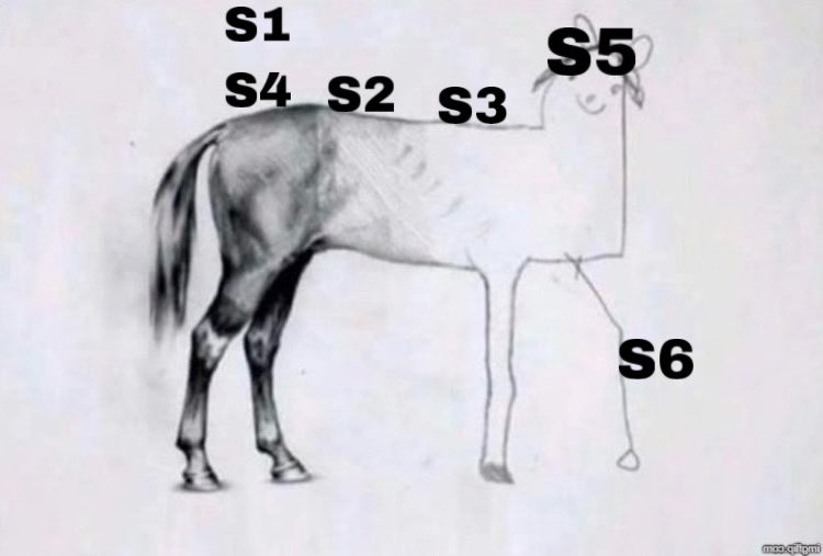 PainsAnatomy's tweet photo. the only good thing about S3 was my baby Sam https://t.co/vPkWBHyhrl