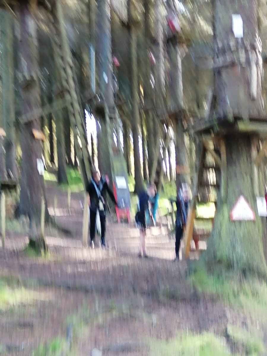 CollegeBenildus's tweet photo. Class 2.7 had a great day at Zip It adventure centre yesterday. Many thanks to their tutor Mr. Murray for organising it. https://t.co/KceTZCdsOq