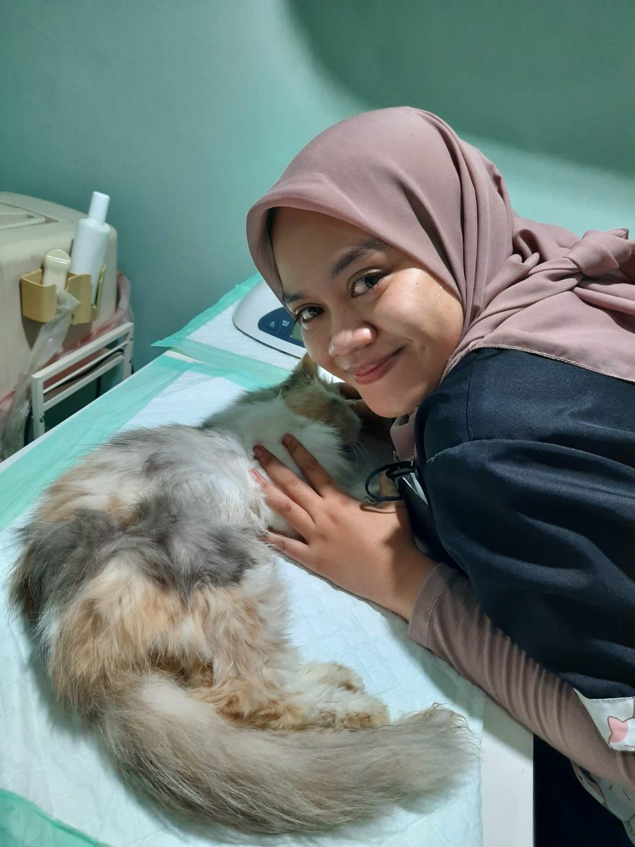 afifaselma's tweet photo. Goodbye sweet little darling, see you Laura. Udah ga sakit lagi ya sayang... (post euthanize procedure) https://t.co/uw9Uuf0ReJ
