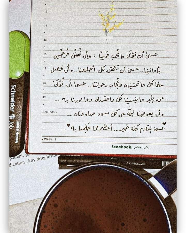 Mariam A. El.Shrief (@mariamelshrief8) on Twitter photo 