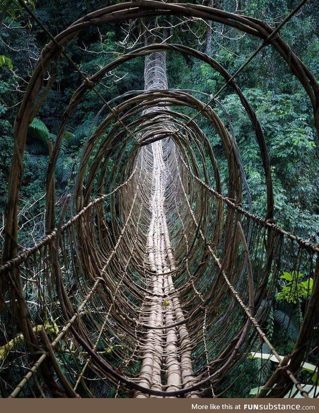 BunnieKat1962's tweet photo. #roads
What road do you take, & where will it lead you? No one, said it would be easy! I think, I'd take the first one. I just need to be careful I don't roll an ankle! It also isn't high up. Lol.. https://t.co/T1YeUDM5q4