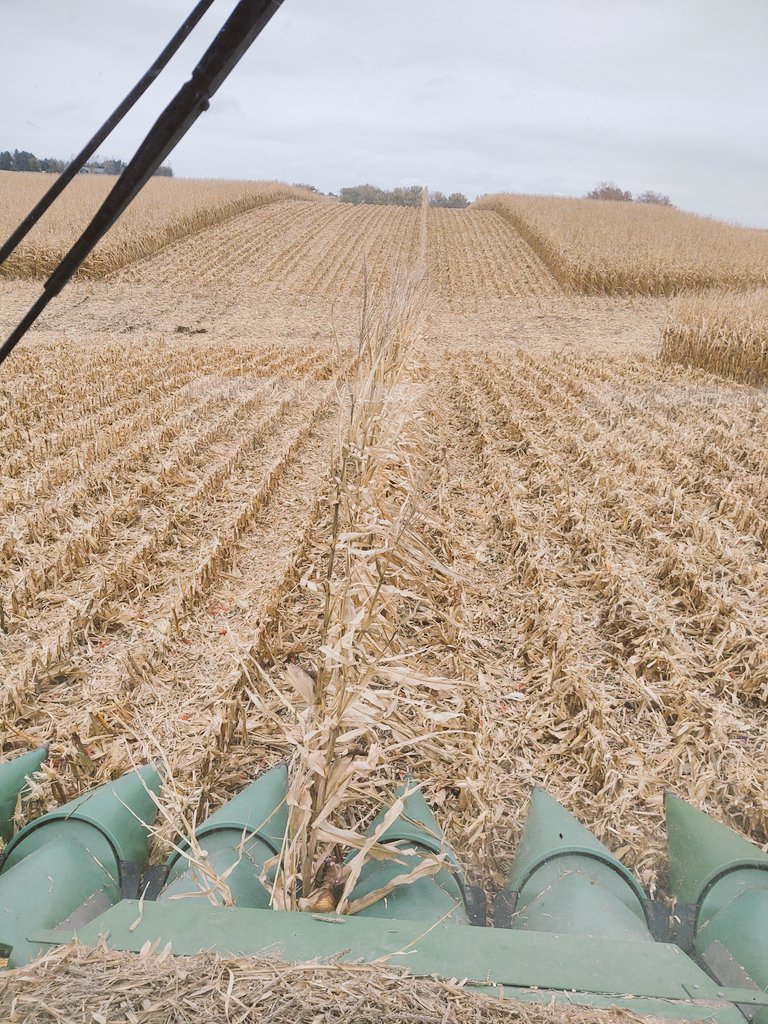 Steve Barlean tweet media