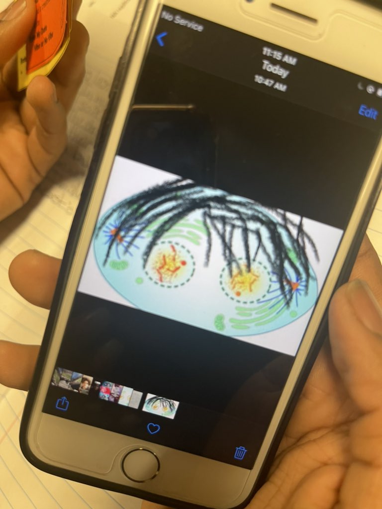 NefertitiLeBeau's tweet photo. Speed Dating Mitosis Style. Ss had to present a selfie of themselves during their dating round! #LitScience They were so creative! @Jefcoed6_12 @pghs_spartans @JEFCOED https://t.co/BcrvyT392h