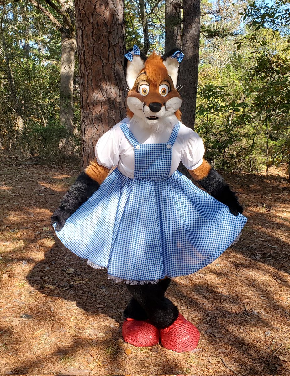 JimDaleFox's tweet photo. This year for Halloween I dressed up like Dorothy at Wild Nights. https://t.co/vfoXh7Zf0z