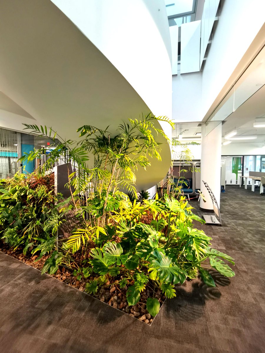 GroupNedlaw's tweet photo. Happy Wednesday!
Beautiful shots of this 13 year old uniquely shaped #biofilter taken by our #maintenance team at @sheridancollege 

Clean air, naturally 🌱 
⠀ ⠀ ⠀ ⠀ ⠀ ⠀ ⠀ ⠀ ⠀ ⠀ ⠀ ⠀ ⠀ ⠀
#nedlaw #greenwalls #greendesign #biowall #plantwall #landscapearchitecture https://t.co/bTpu3ymxgr