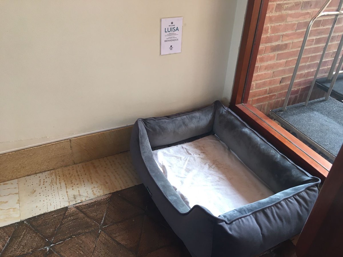 Los amigos de <a href="/HotelesEstelar/">Hoteles Estelar S.A</a> en Paipa adoptaron a Luisa 🐶 y dan ejemplo de respeto y cuidado de quienes no tienen voz. Gran ejemplo! Gracias <a href="/andreanimalidad/">Andrea Padilla Villarraga🐆</a> <a href="/MONYRODRIGUEZOF/">MÓNICA RODRÍGUEZ 🐤</a> <a href="/juliherrerap/">Rosa Juliana Herrera Pinto🐾👣</a> <a href="/Pelicolombianas/">El Tío Pelis</a>