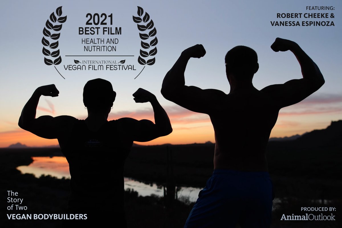 animaloutlook's tweet photo. Our short film by @AdventureVegan, "The Story of Two Vegan Bodybuilders," was featured in this year's 
@veganfilmfest and won best film in the Health and Nutrition category.
@RobertCheeke @plantbasemuscle https://t.co/2WWRPZdxG2