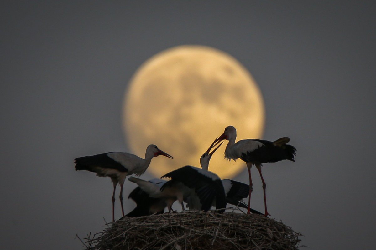 Van'da ay tutulması öncesi dolunay manzaraları. Muhteşem 💫