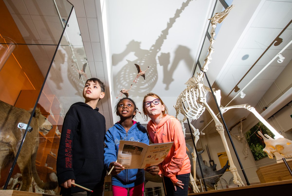 ScienceWeek's tweet photo. From November 7-14, Science Week will be hosting a national conversation between the general public, the research community, and policymakers around how Science can help us #CreatingOurFuture 

#ScienceWeek #ScienceWeekIreland https://t.co/04R4bhj5RH