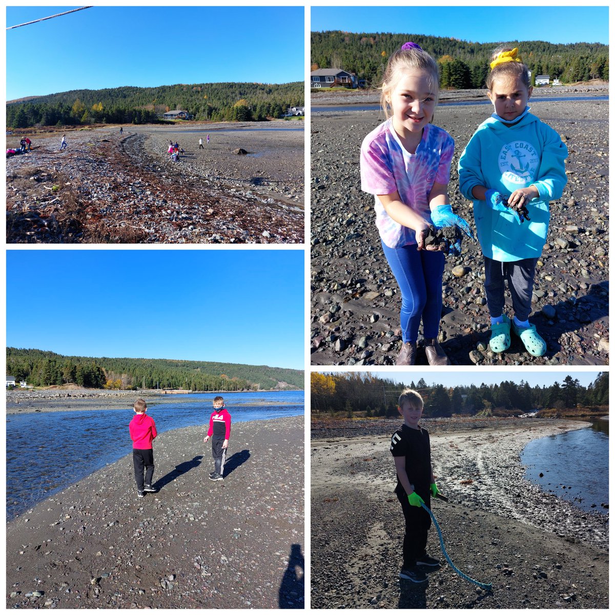 lmcrawley's tweet image. Beautiful day for collecting,  combing, cleaning, and community mapping @ICSColliers @suzannehawco @NLESDCA #Community #OceanCleanup @akgtCanada #ScienceAndEnvironment #SocialStudies