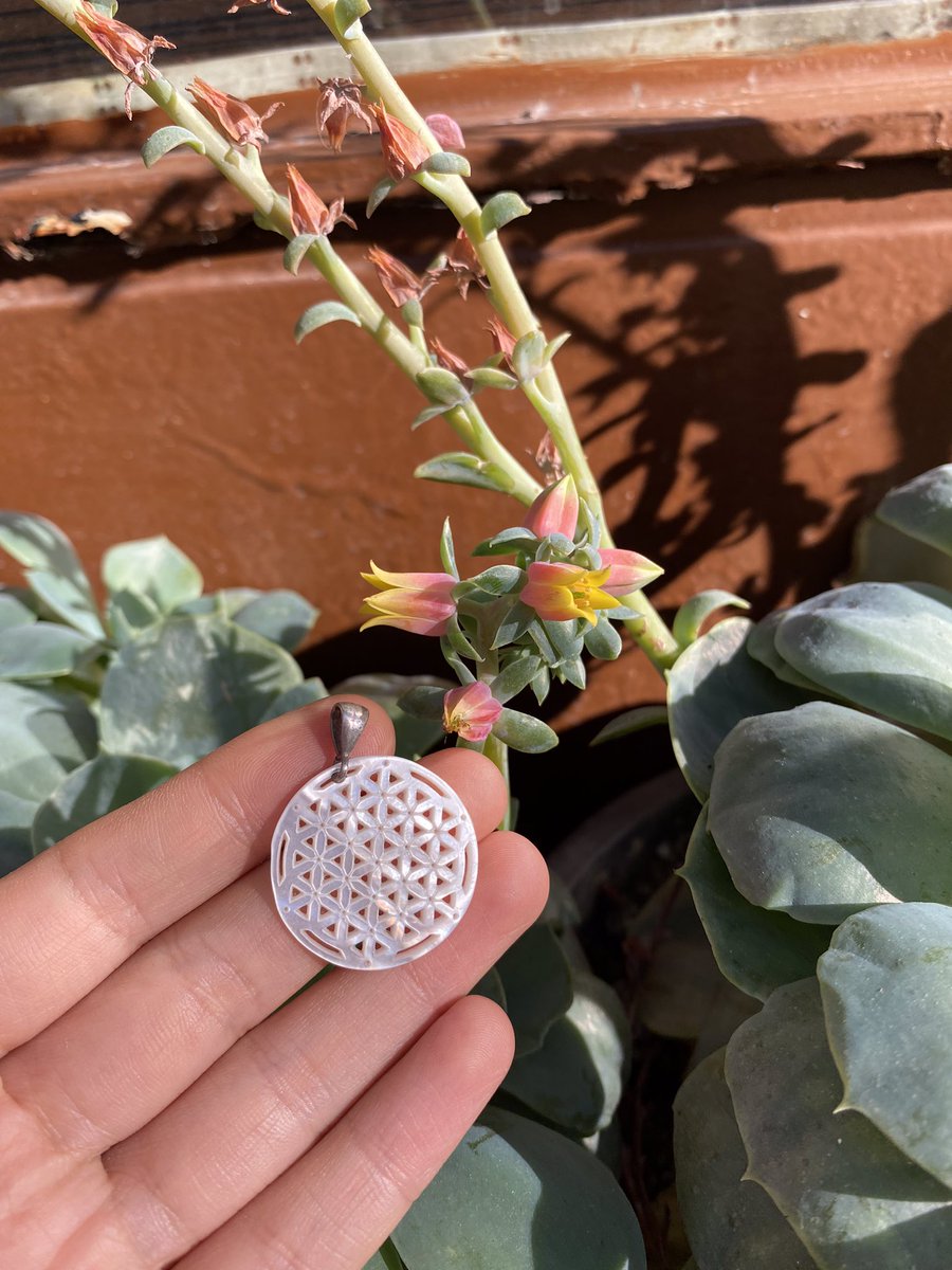 FatmaAyran's tweet photo. Yaşam Çiçeği Faydaları Nelerdir?

 Maneviyatın önemini en iyi şekilde anlatan yaşam çiçeği, günümüzde pek çok kişi tarafından merak ediliyor. Özellikle bütün farklı dinlerde kullanılan yaşam çiçeği, özünde yaratılışının mükemmel oluşunu simgeler ve birçok önemli yarar sunar. https://t.co/A6NmMl0w4A