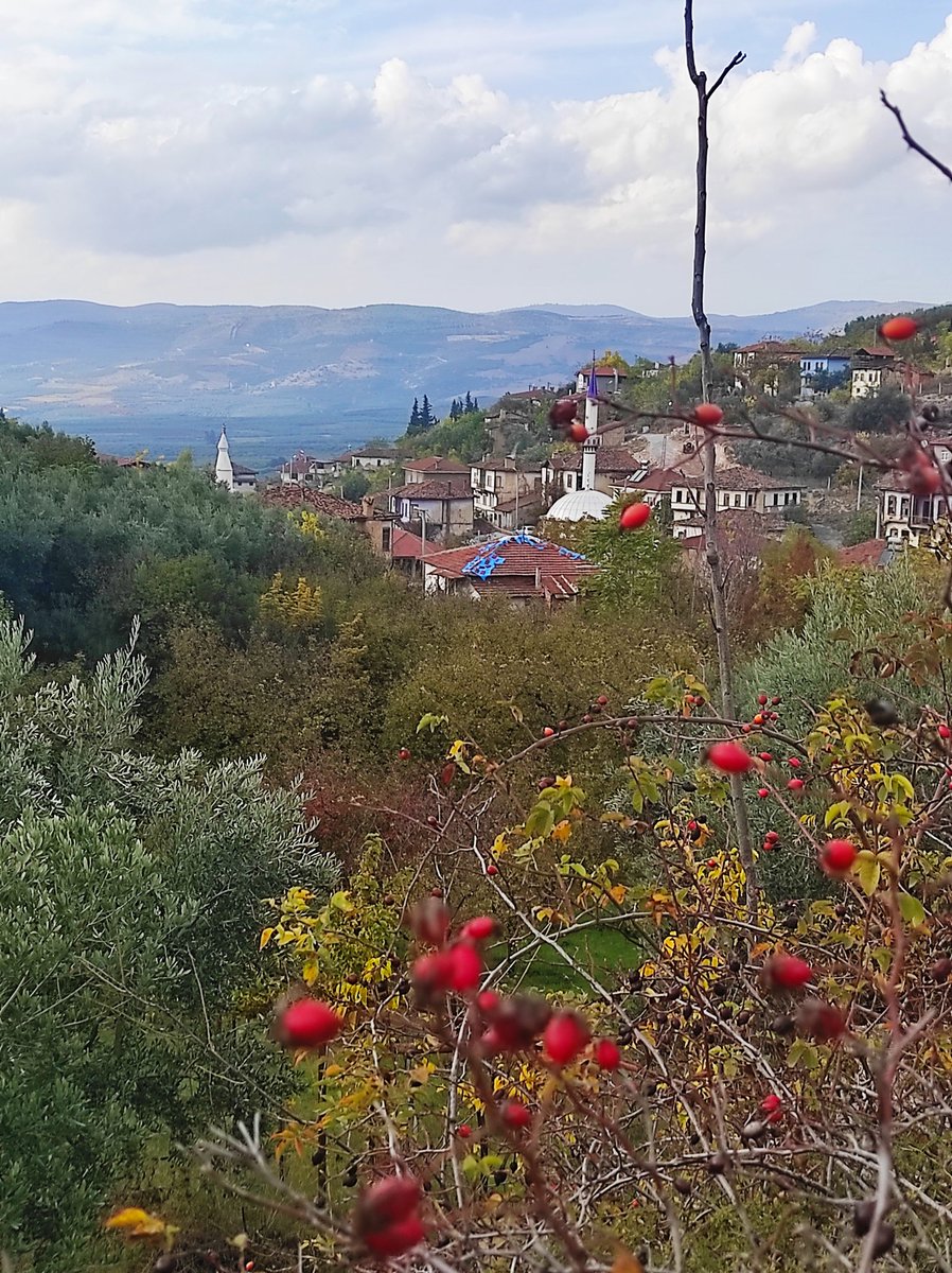 Zeynep Çetinkaya (@zeyno1607) on Twitter photo 