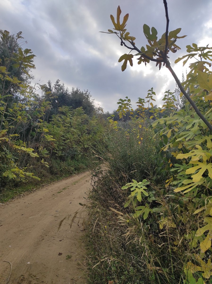 İnikli de sonbaharı yaşamak