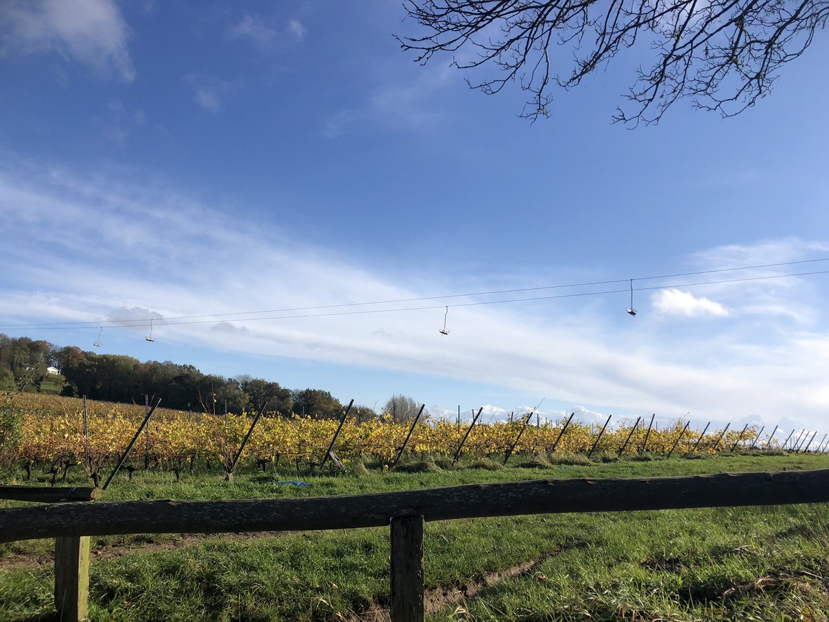 MahieuVincent's tweet photo. Voorbije dagen in @Heuvelland_WVL mijn geboortestreek waar ik jeugdjaren heb meegemaakt. Een mooie tocht rond #Westouter in herfstzon, en een paar spelletjes #manillen met mijn ouders en onze oudste, onze zoon😉 #tradities https://t.co/YgoUxRs8RU