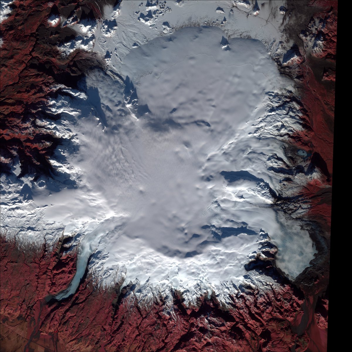 Ragnar Heiðar Þrastarson tweet media