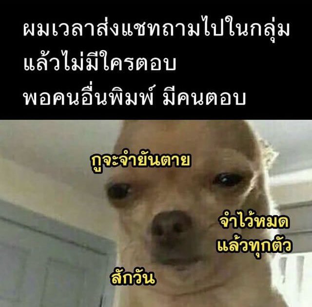 เลิ้ปตี๋โฟร์คิ้วท์ 🫠 tweet media