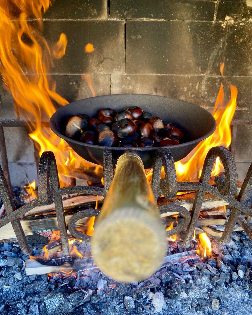 TurismoVeneto's tweet photo. 🌰 Nel trevigiano è tempo di degustare il delizioso Marrone di #Combai IGP. Vieni a visitare le sue terre camminando tra i suggestivi castagneti immersi nei tipici colori autunnali.
Scopri di più ➡ https://t.co/NXcdXrPajW
#VisitVeneto
📸IG lev_piazza https://t.co/H1uV5UXTki