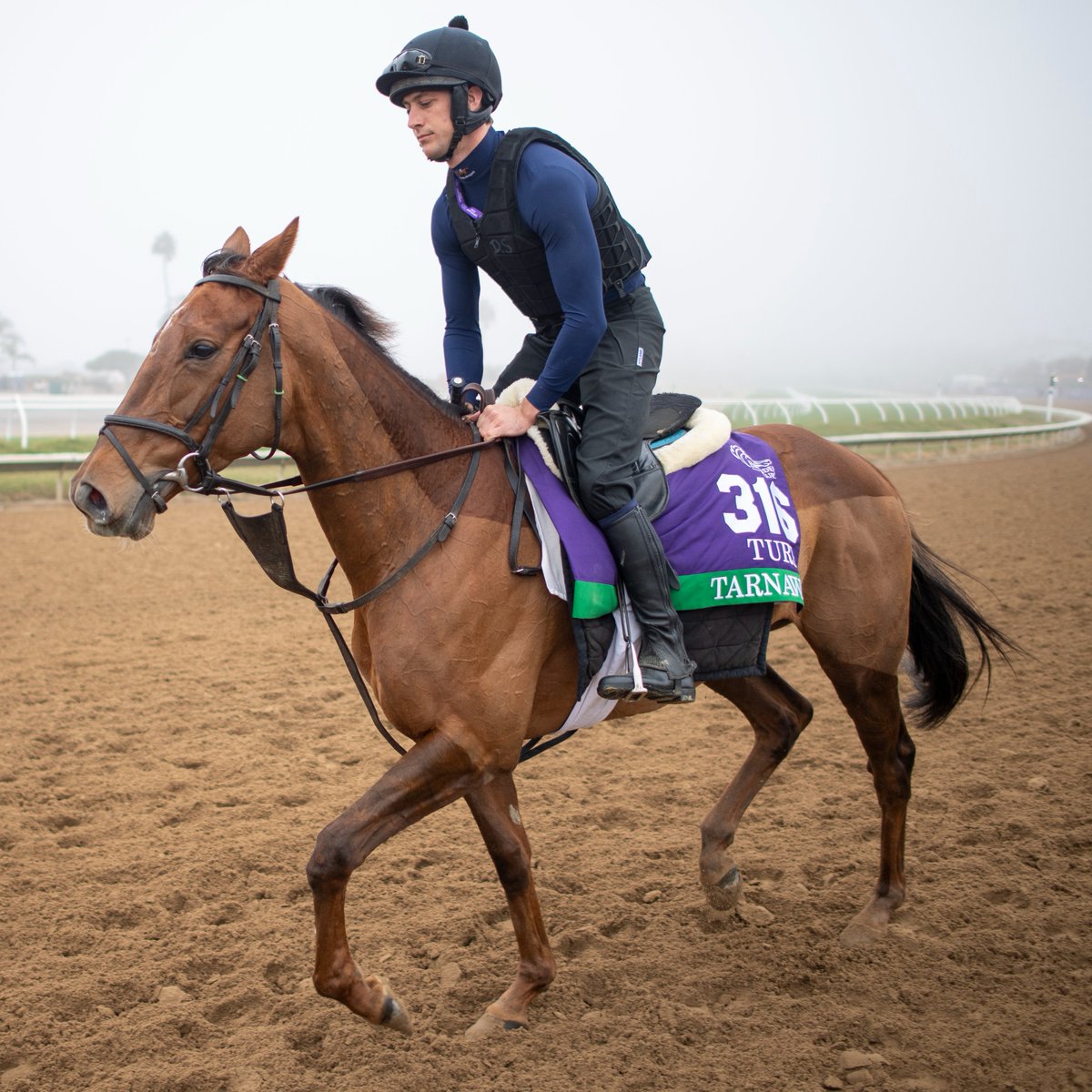 Horse Racing Ireland tweet media