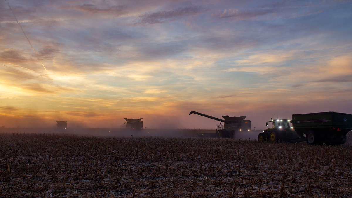 LGSeeds's tweet photo. Fertilizer prices continue to climb and many farmers are faced with tough choices. LG Seeds Agronomist Chris Bryce outlines what you should be taking into consideration before making your fertility decision. https://t.co/vA5wiSQ8pa https://t.co/CByYrvvKl9