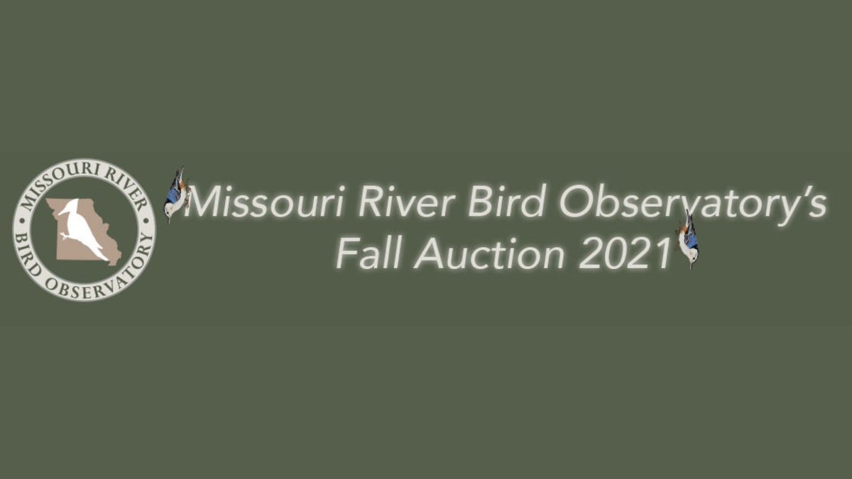 Don't miss out on the MRBO Fall Auction! Need a gift for a friend or relative? Want to support a good cause? We have all kinds of items ranging from just a few dollars in value to exciting big ticket items. #Support #Conservation #Birds

Check it out: 32auctions.com/MRBOFall2021Au…