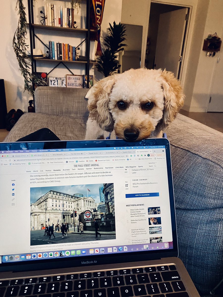 saniakhanlaique's tweet photo. It’s official — we are writing a book! #writing #bookcreators #nonfiction #econiscool @WSJ @erickoester https://t.co/vuCrbccpgk