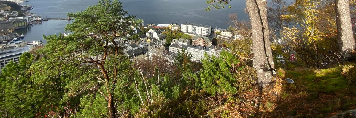 GDijkhuyzen's tweet photo. My mother is missing her (pic!)NORWAY! Monaco is not Norway! Monaco is a beautiful rock! but Norway has sea,mountains&amp; FJORDS! https://t.co/38FFfIvUnF