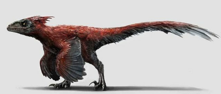 Lewis_Ddgsn on Twitter: "Dominion Pyroraptor y arte conceptual de Pyroraptor del juego Jurassic World Alive. ¡La versión de la película es simplemente perfecta! #pyroraptor #jurassicworlddominion #jurassicworld #dinosaurios https://t.co/61rrEbuxkN" / Twitter