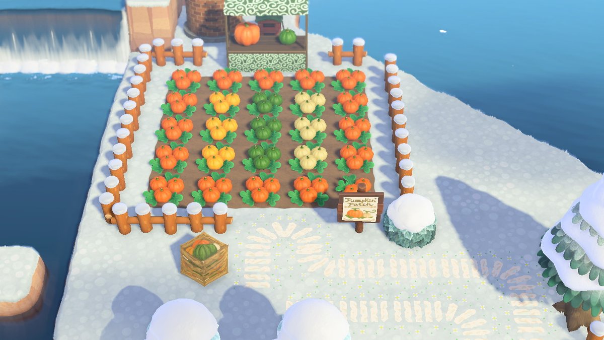 AnimalGamePlay1's tweet photo. https://t.co/3A2mEdI2Im