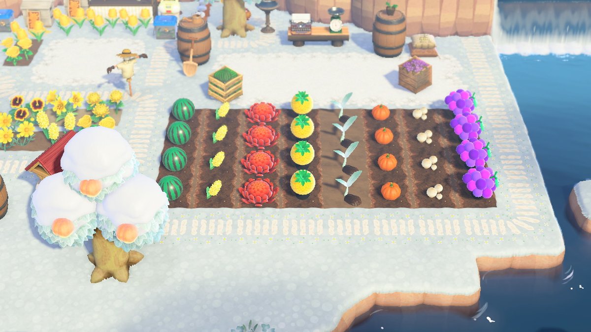 AnimalGamePlay1's tweet photo. https://t.co/3A2mEdI2Im