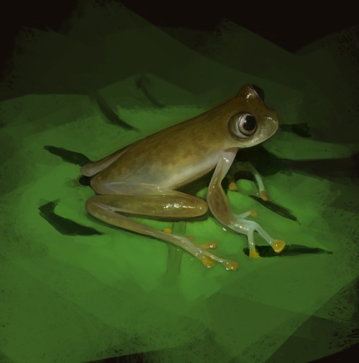 wndelasranitas's tweet photo. A frog.
#art #comissionsopen #comissions #artwork #digitalart #DigitalArtist #arte #artedigital #artista #frogposting #frog #froggie https://t.co/dlWHlSyCbb