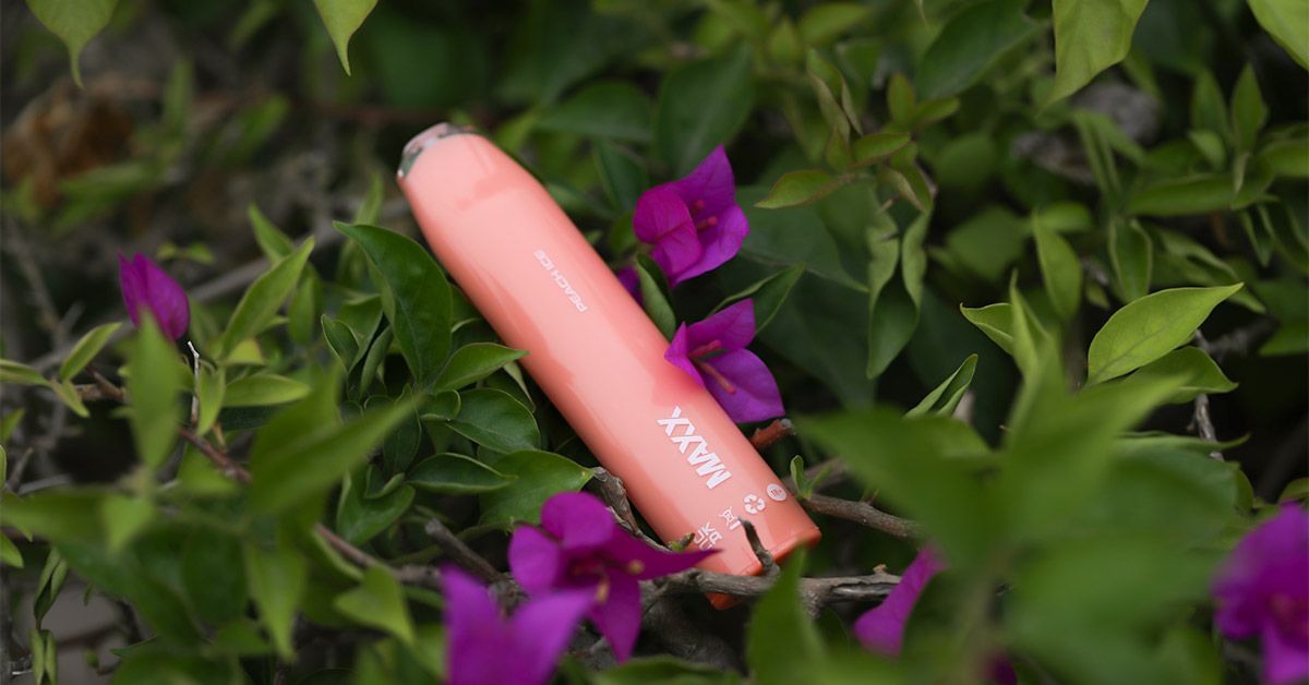hyppeeu's tweet photo. If we could see the miracle of a single flower clearly, our whole life would change.
#HyppeMAXX #igotmymaxx #Disposablevapes #hyppe #vapefam #hyppeplus #hyppevape #hyppefam #hyppelife #hyppefan #hypper #hyppe https://t.co/K3ZnrJSxM6
