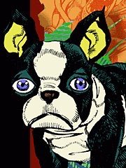 today’s Jinx is Iggy from Jojo’s Bizarre Adventure! (he/him) Iggy meets 5/7 of the criteria!!! but gets minus points for being a dog