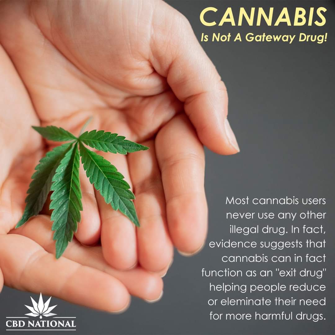 CBDNshop's tweet photo. Connect with the facts about cannabis! Here is a link to some excellent information! #cannabis #drugFacts #cbd #hemp https://t.co/K9NGgy1EUq https://t.co/XrscU05A82