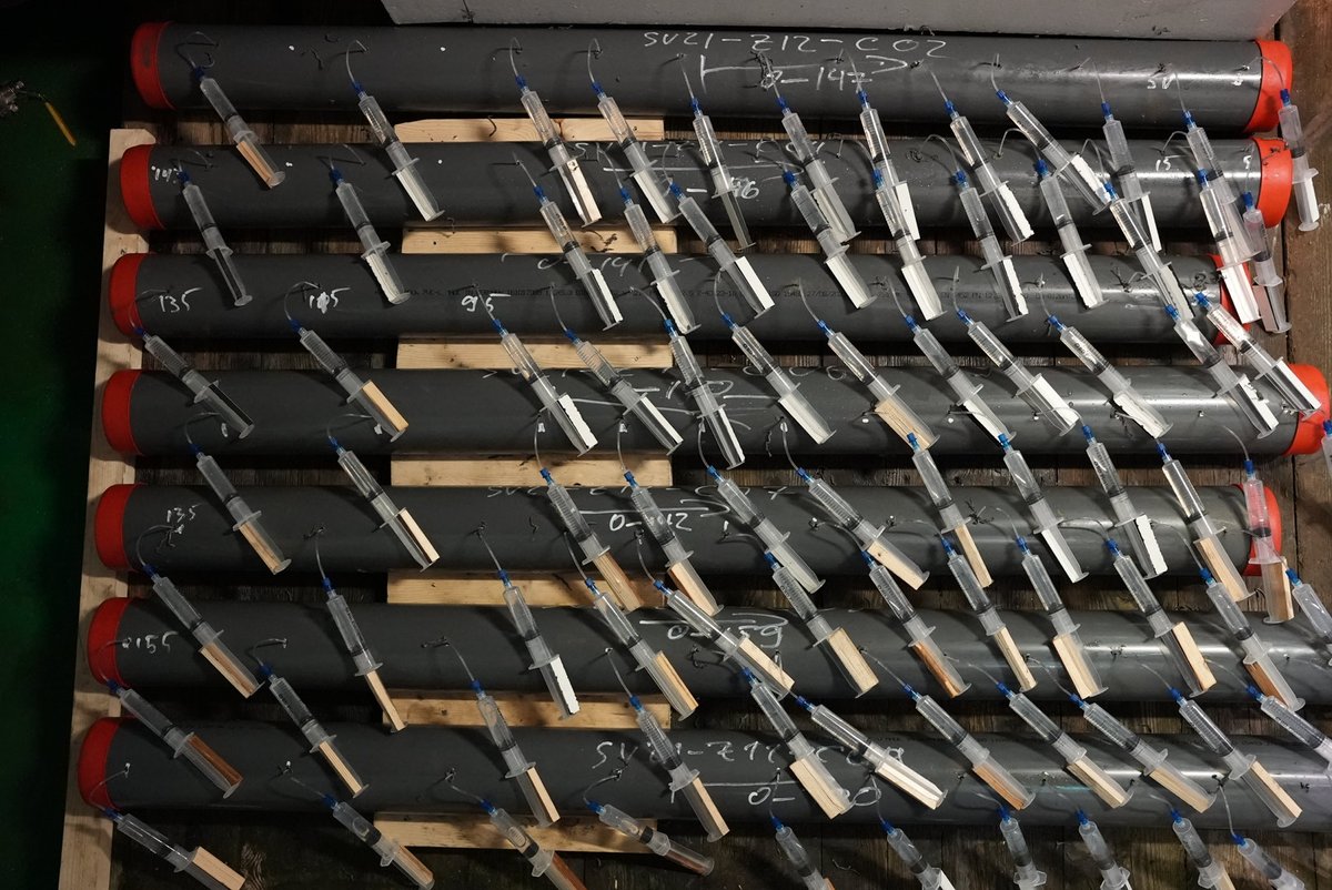 prospectomics's tweet photo. The art of pore water extraction! 🖌️💉

The last 2 day we had calm conditions and we got cores like crazy. Meaning we are processing a lot of #porewater from the #subsurface of the #Barentssea throughout the late evenings. 

@JensKallmeyer @GFZ_Potsdam https://t.co/uCzIIQzTBm