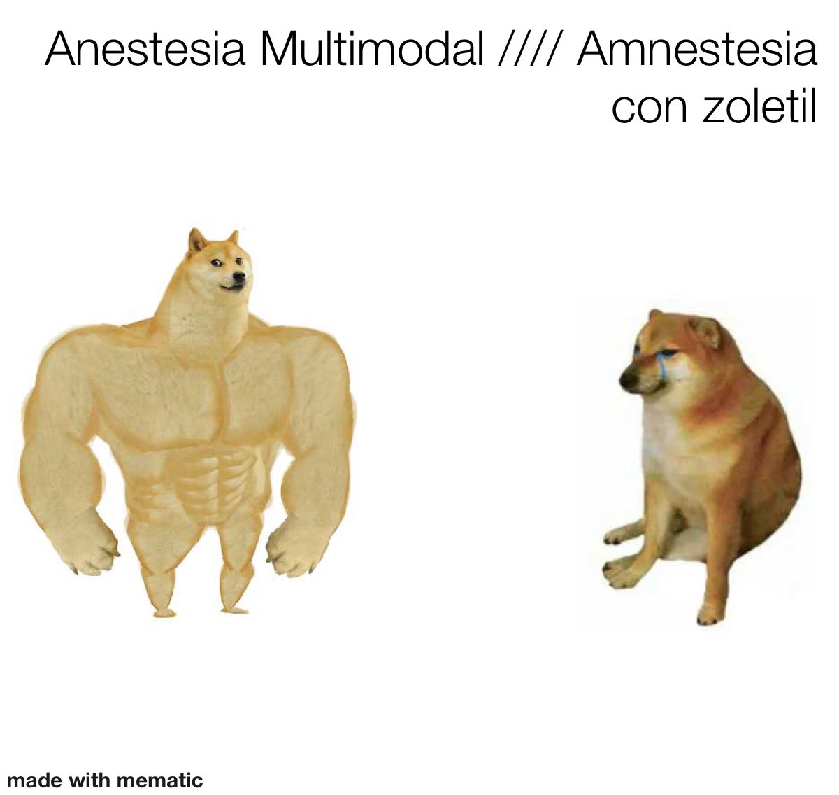 Hice un meme veterinario <a href="/MEMESTESIA/">MEMESTESIA</a>