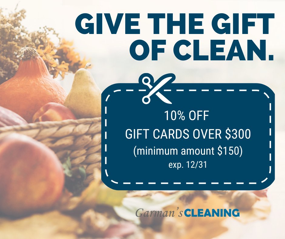 garmansclean's tweet image. Looking for Christmas gift ideas? We have the perfect thing... Click the pic below! #garmanscleaning
