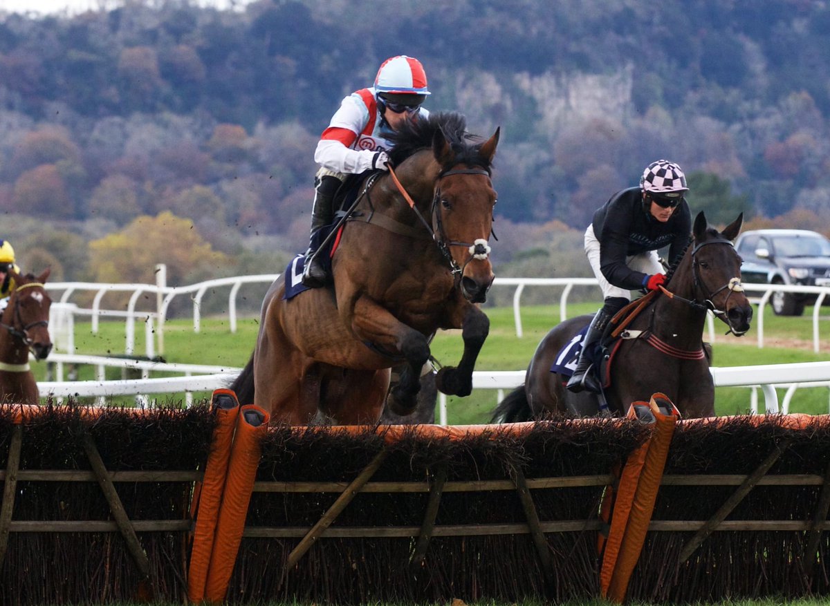 Brave Kingdom (BRAVE MANSONNIEN) gagne sa première course de haie à <a href="/Chepstow_Racing/">Chepstow Racecourse</a> !