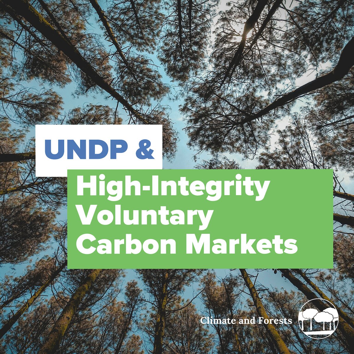 UNDP Climate (@undpclimate) on Twitter photo "For <a href="/UNDP/">UN Development</a>, high-integrity in carbon markets is:
1️⃣ Listening to people
2️⃣ Grounding solutions in national contexts with rightsholders & IPLC
3️⃣ Investing in activities with positive social & environmental impacts
4️⃣ Strengthening local governance"
- <a href="/RaoMonari/">Usha Rao-Monari</a> at #COP26 "For <a href="/UNDP/">UN Development</a>, high-integrity in carbon markets is:
1️⃣ Listening to people
2️⃣ Grounding solutions in national contexts with rightsholders & IPLC
3️⃣ Investing in activities with positive social & environmental impacts
4️⃣ Strengthening local governance"
- <a href="/RaoMonari/">Usha Rao-Monari</a> at #COP26