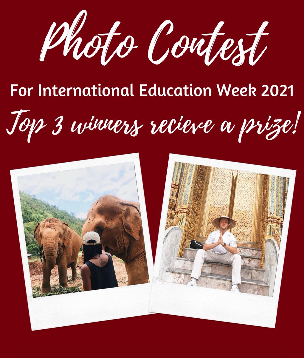 UofSC International Student Services tweet media