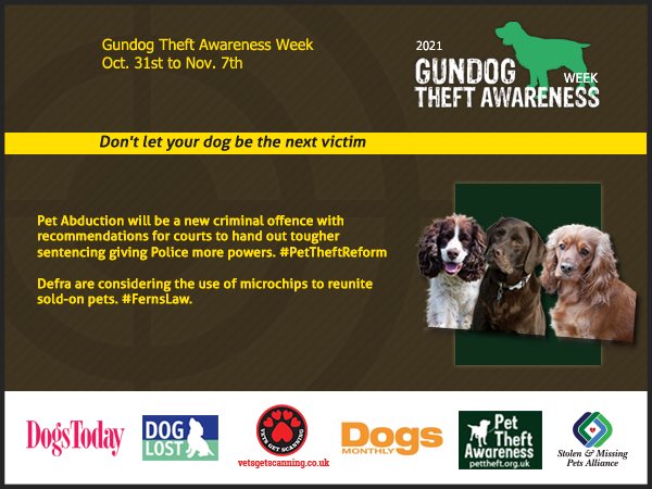 spaniel alert (@rosiedoc2) on Twitter photo #SpanielHour
#GundogTheftAwarenessWeek
LEGO female/OLDER ADULT
#missing since 23/10/21
Brown/with white down face/chest
SPAYED
JACK & JILL WINDMILLS
#Clayton #Pyecombe
#Brighton #BN9
#Spaniel x
doglost.co.uk/dog-blog.php?d…
<a href="/Spaniels_Rule/">🐶🐶Spaniels Rule🐶🐶</a> <a href="/reggiemollieros/">Lesley White</a> <a href="/bs2510/">beth</a> #SpanielHour
#GundogTheftAwarenessWeek
LEGO female/OLDER ADULT
#missing since 23/10/21
Brown/with white down face/chest
SPAYED
JACK & JILL WINDMILLS
#Clayton #Pyecombe
#Brighton #BN9
#Spaniel x
doglost.co.uk/dog-blog.php?d…
<a href="/Spaniels_Rule/">🐶🐶Spaniels Rule🐶🐶</a> <a href="/reggiemollieros/">Lesley White</a> <a href="/bs2510/">beth</a>