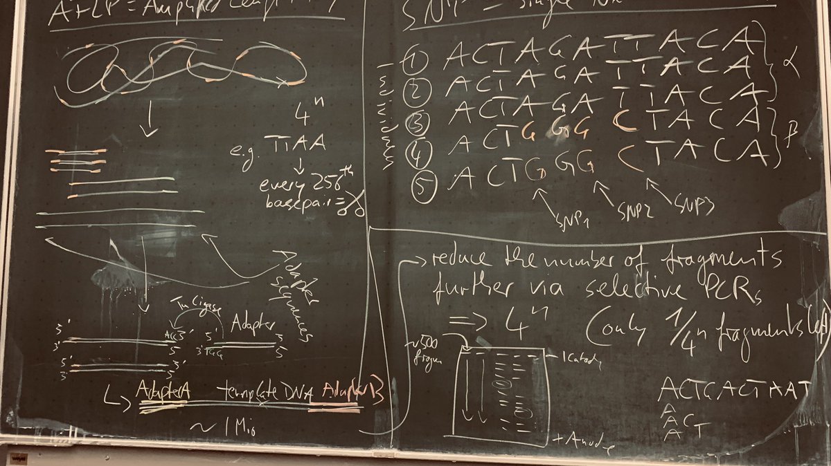 leeselab's tweet image. Teaching @unidue in full progress. Really enjoy direct interaction with so many clever students; not via Zoom. #MolecularEvolution atm. Are there other #BlackboardDinosaurs that like ’chalky university teaching’ from time to time?