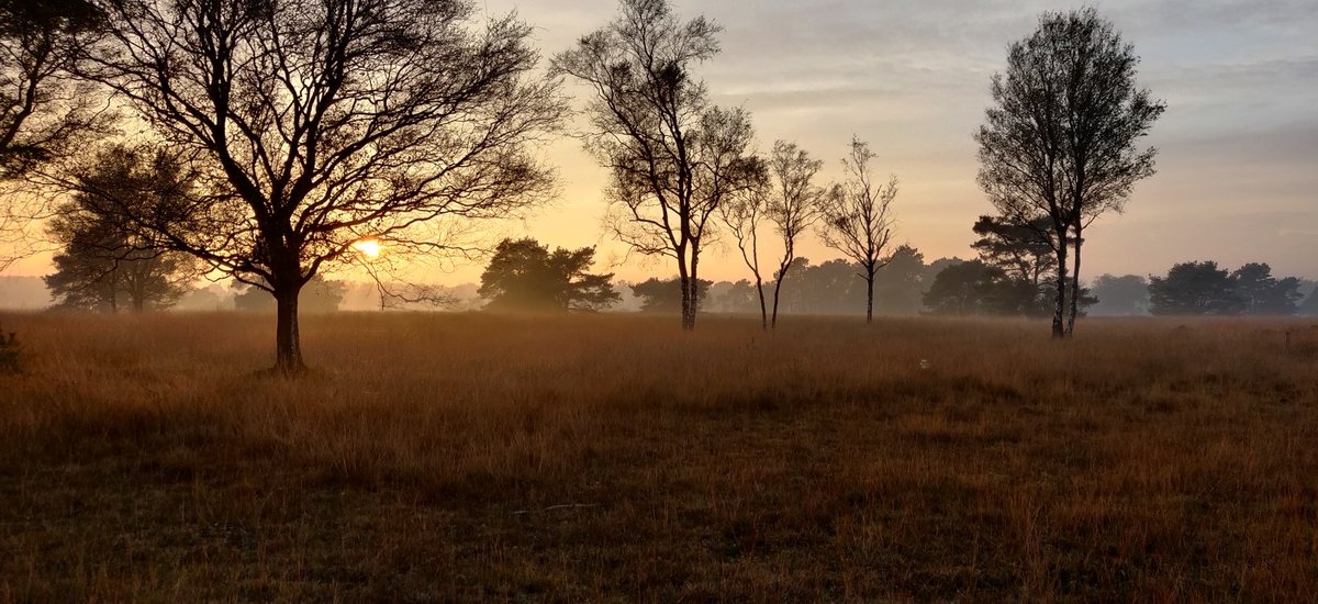 Gijs Clements tweet media