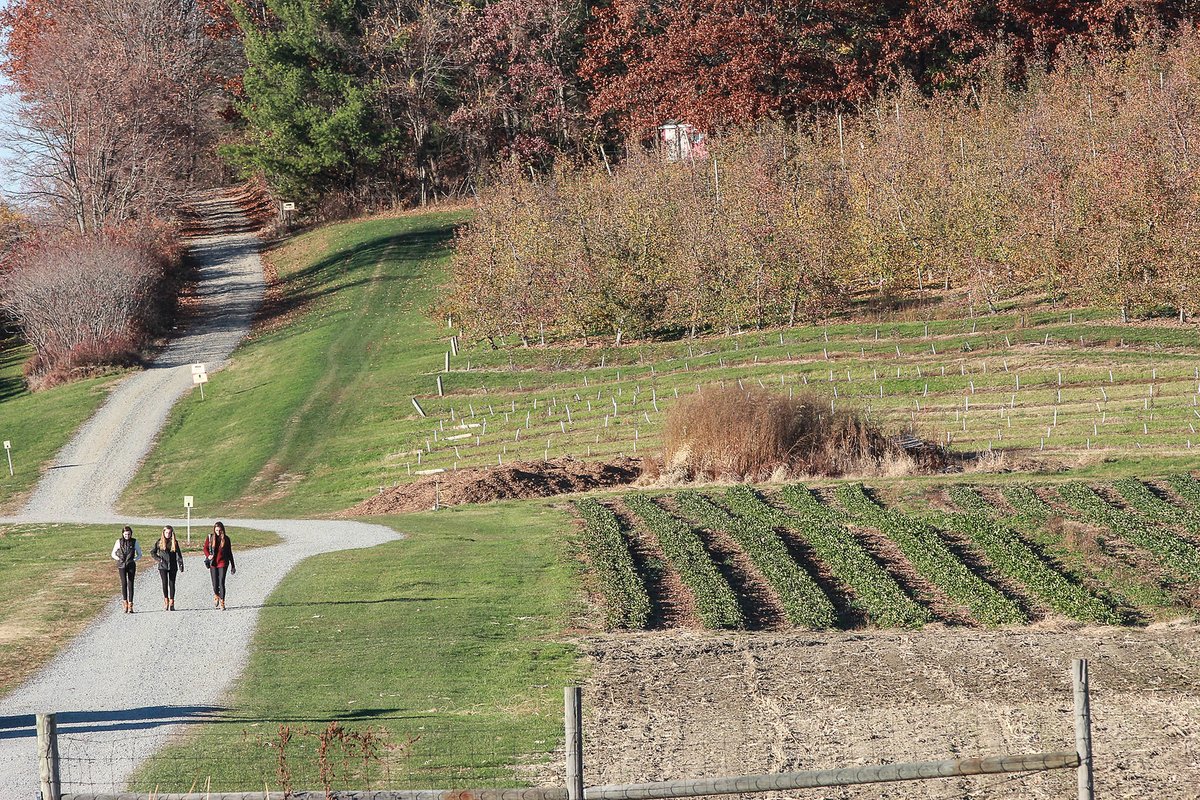 Fall is a great time to take a stroll through the farms. 📷: Kate Donovan #AmesburyMA