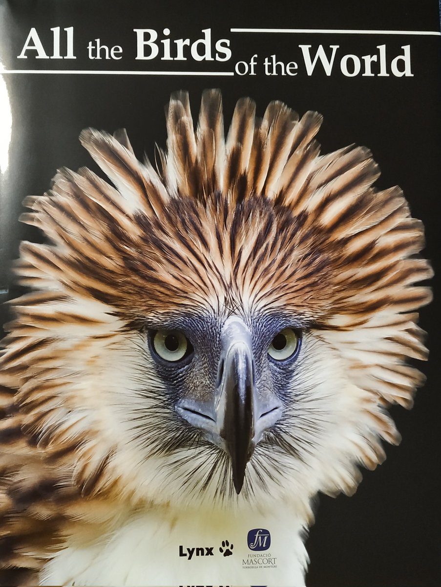 Jordisaca21's tweet photo. Ara si que ja els tinc tots!!! @lynxedicions Ara a buscar-los al natural #ocellets #osticomenganxa #fotonatura https://t.co/rWWhCm7BpW