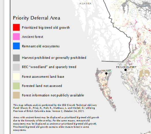 ForestryBC's tweet photo. Why do these panels constantly make up their own designations? Is it to obfuscate the GIS cherry picking going on in the background? No faith in this map or the process behind it: start again with real foresters involved not activists #bcpoli #bcforestry @KatrineConroy @jjhorgan https://t.co/HdvsAKsIgc