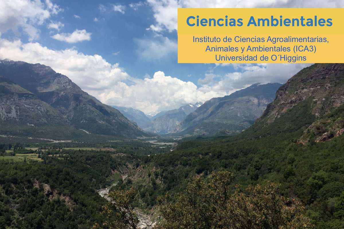 Faculty positions at the <a href="/uohiggins/">Universidad de O'Higgins</a>, Chile: Forest Ecology, Restoration Ecology, Nature Base Solutions for Water Management, Environmental Economics, Bioclimatology, Geomatics, Geophysics, Hydrogeology, and more! 👉uoh.cl/#concurso-acad… Pls RT