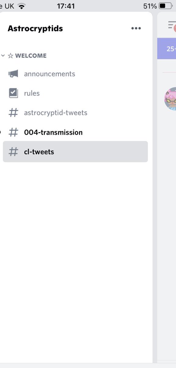 MelonHeadY2K's tweet photo. @cielxnoel The discord server has been like this for the last couple of months -  all read-only - but no stress - happy to wait 😁 https://t.co/deJJAOqD3N
