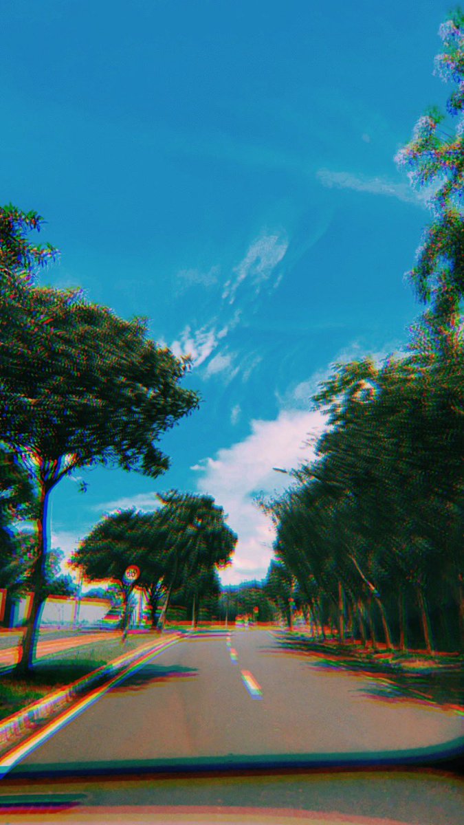 quepia's tweet photo. 🌤🌳🦋🤍 https://t.co/tGo2hSnyvv