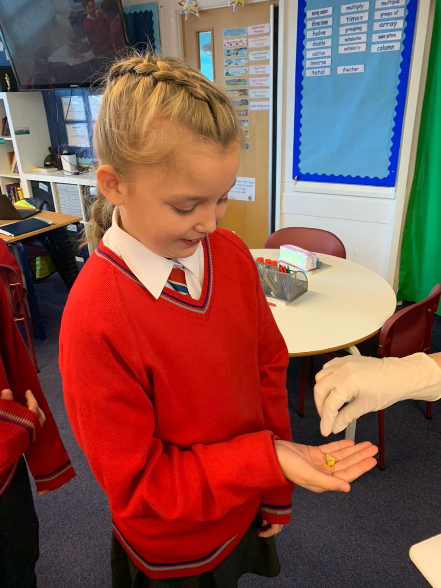 ysgolbrynhedydd's tweet photo. A huge thank you to the owner of ‘The Little Cheesemonger’ in Rhuddlan and Prestatyn who came in to speak to #YBHY6 about enterprise and business development! The pupils were inspired by your story and loved tasting some blue cheese! 🧀 #workofwork #YBHECC https://t.co/3j75lEr2aT